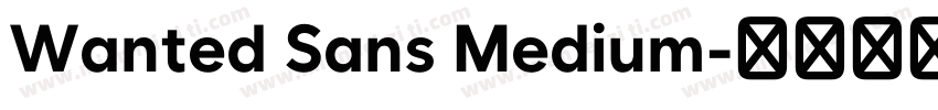 Wanted Sans Medium字体转换